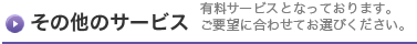 その他のサービス（有料サービスとなっております。ご要望に合わせてお選びください。