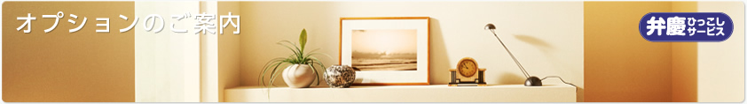 オプションのご案内